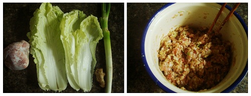 Make Chinese Dumplings: Ingredients.